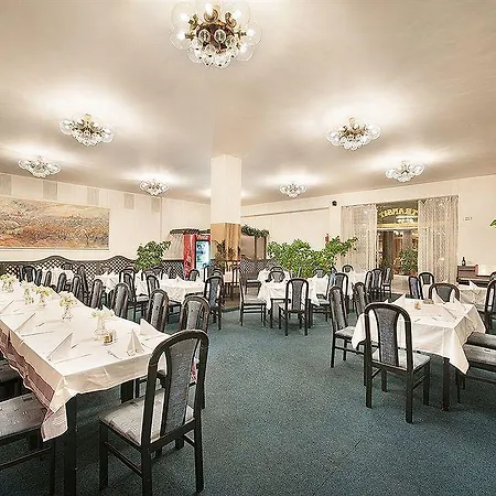 Hotel Kladno 3* كلادنو