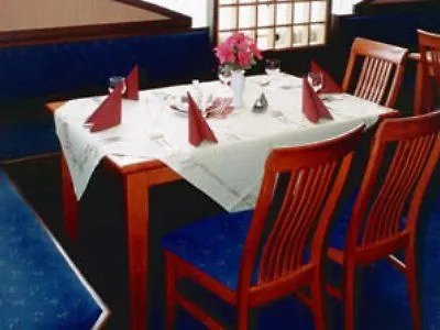 Hotel Kladno 3*