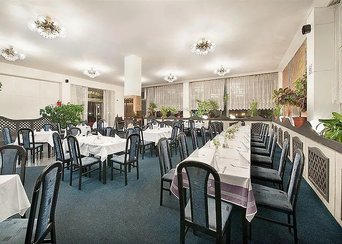 Hotel Kladno 3*